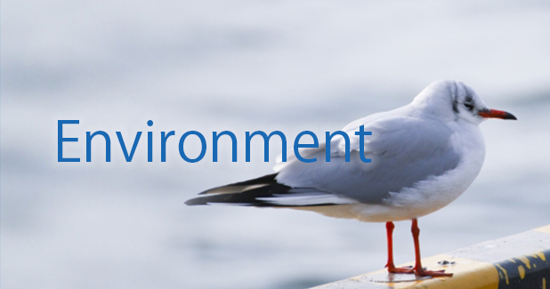 Environment